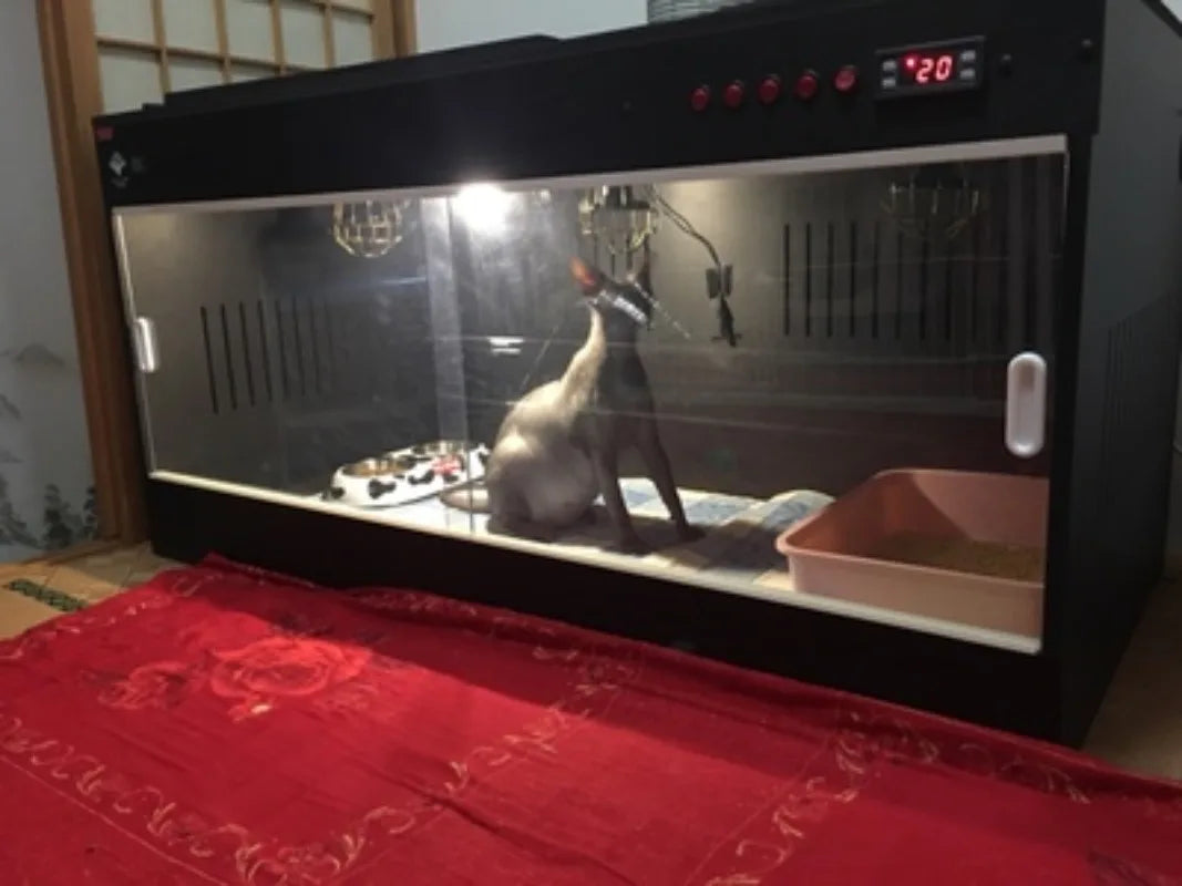 Luxury Pet Warming Incubator with Smart Thermostat