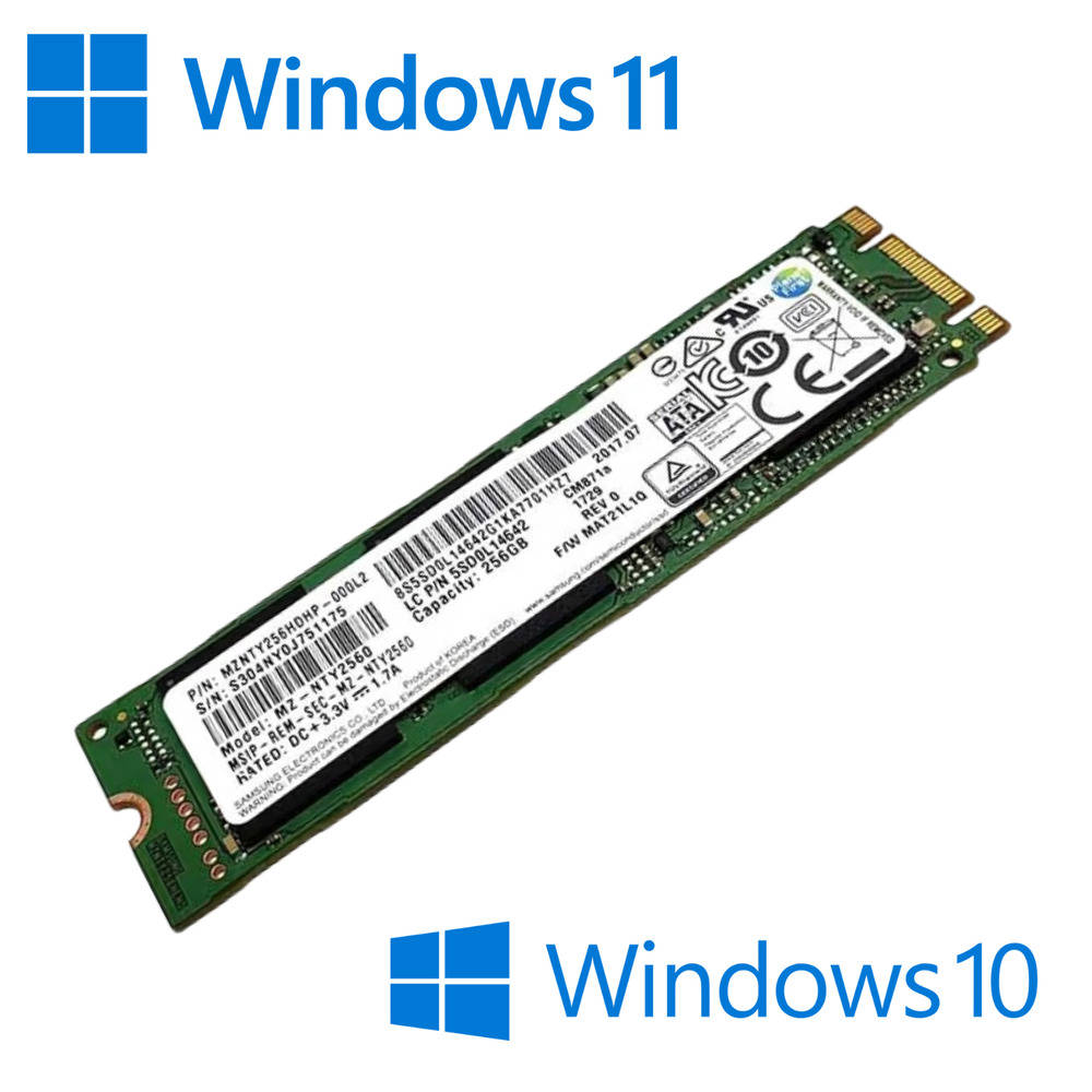 M.2 SSD SATA with Pre-Activated Windows 10/11 Pro - High-Speed Solid State Drive