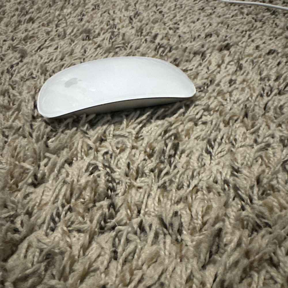 Apple Magic Mouse 2 Wireless Mouse - Silver Edition