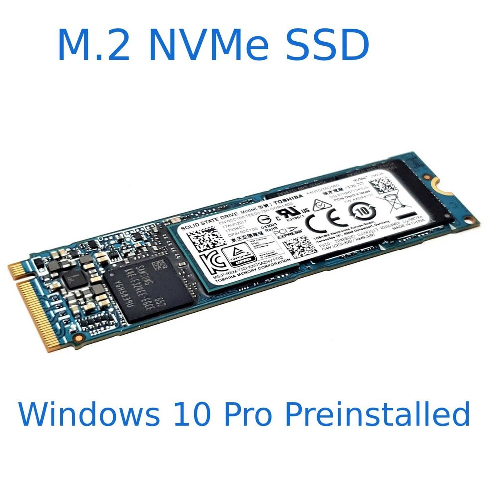 256GB M.2 NVMe SSD with Pre-installed Windows