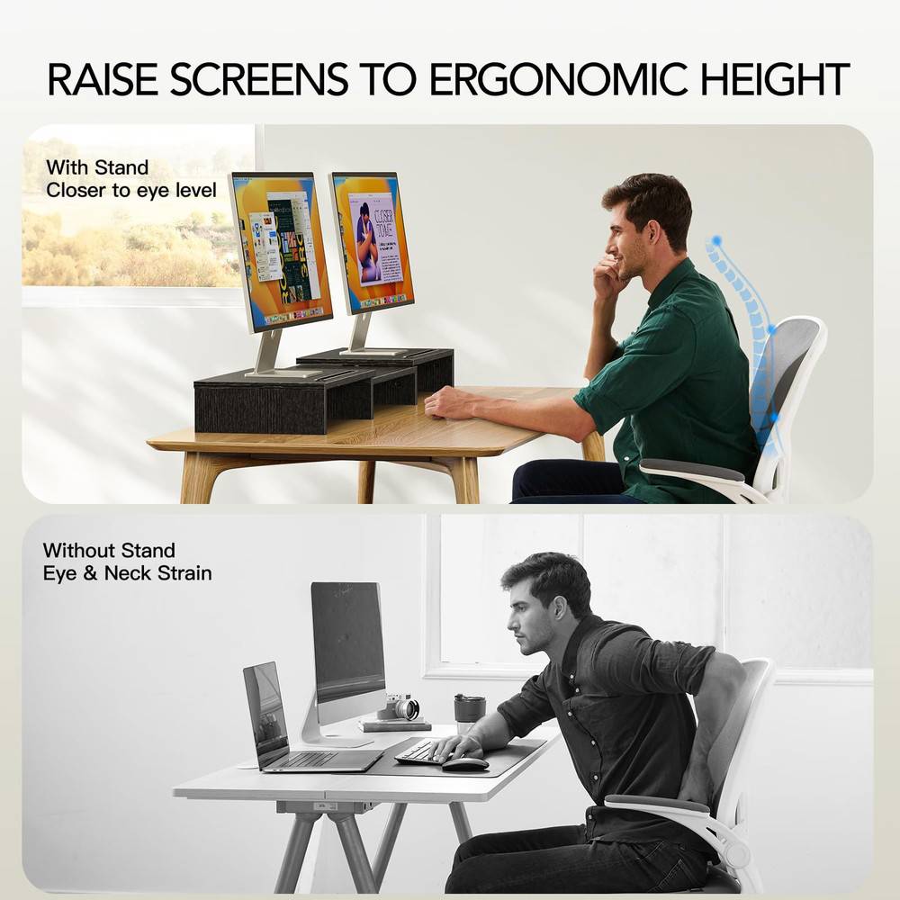 Adjustable Dual Monitor Stand Riser with Storage for 2 Monitors